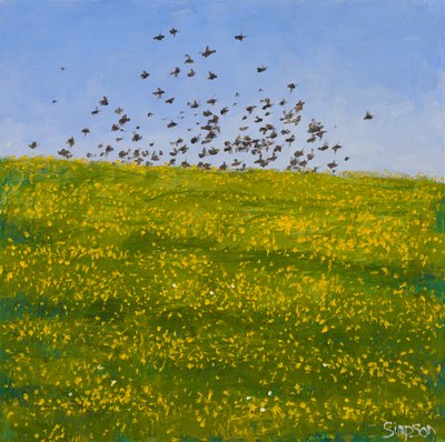 Spreeuwen en boterbloemen, Iona, 2015 (olieverf op doek) door Charles Simpson