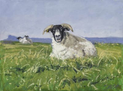 West Coast Sheep, 2017 (olieverf op doek) door Charles Simpson