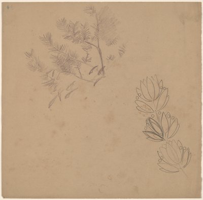 Studie voor een Randontwerp met een Schets van een Boom door Charles Sprague Pearce