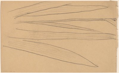Studie van een Bloem (verso) door Charles Sprague Pearce