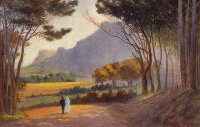 Kaapse Schiereiland, Zuid-Afrika: Alphen door Charles Stephen Meacham