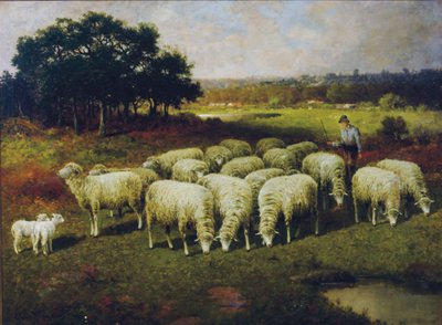 Een herder met zijn schapen in het veld door Charles T. Phelan