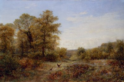  door Charles Thomas Burt