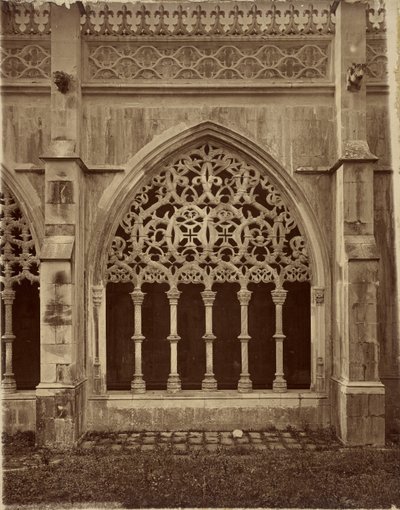  door Charles Thurston Thompson