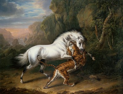 Een Tijger die een Arabische Hengst Aanvalt door Charles Towne