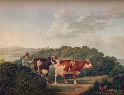 Engels Landschap, met Shorthorned Vee, late 18e-vroege 19e eeuw, 1930 door Charles Towne