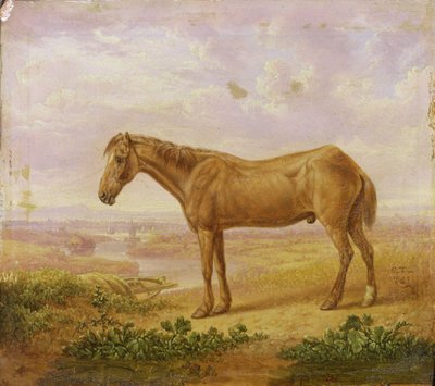 Oude Billy, een Trekpaard, 62 jaar oud door Charles Towne