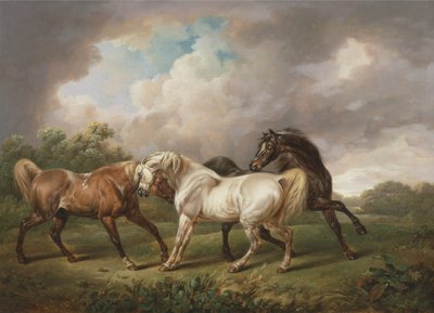 Drie Paarden in een Stormachtig Landschap door Charles Towne