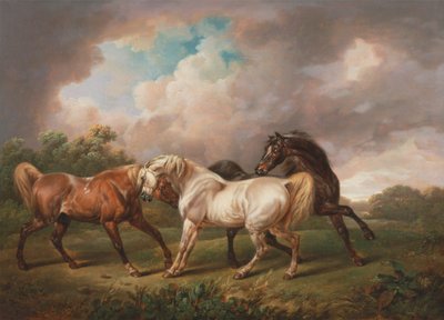 Drie Paarden in een Stormachtig Landschap door Charles Towne