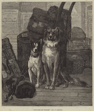 Vreemdelingen en pelgrims door Charles Trevor Garland