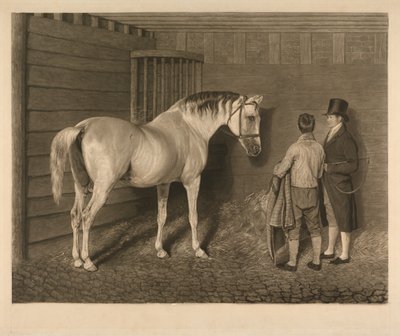 De Wellesley-Arabier door Charles Turner
