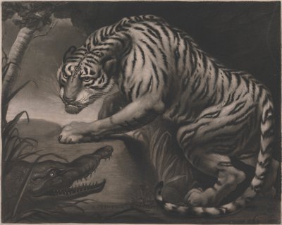 Tijger en Krokodil door Charles Turner