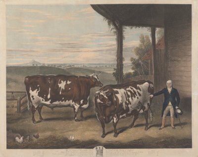 Twee Durham ossen door Charles Turner