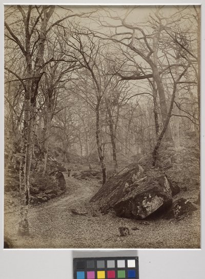 Fontainebleau, c.1870 door Charles Victor Famin
