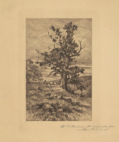 Landschap met Schapen door Charles Volkmar