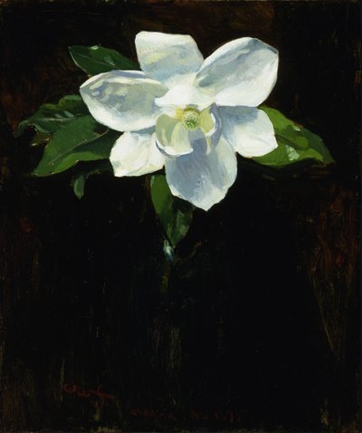 Magnolia, 1895 door Charles Walter Stetson