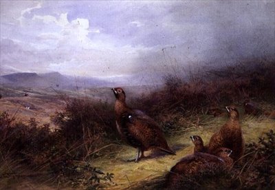 Korhoenders in de Hooglanden door Charles Whymper