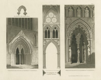 Lichfield Kathedraal - Westingang, Noordingang en Schip (aquatint gravure) door Charles Wild