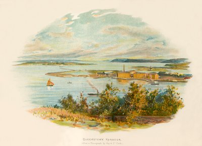 Haven van Queenstown door Charles Wilkinson