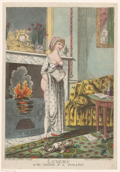 Vrouw warmt zich aan de haard, een boek in haar hand door Charles Williams