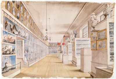 De Lange Kamer, Interieur van de Voorkamer in Peales Museum, 1822 door Charles Willson Peale