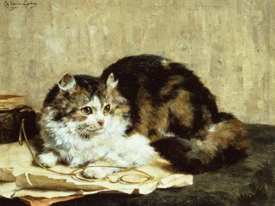 Een Cyperse Kat door Charles van den Eycken