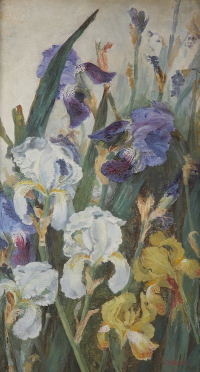 Irissen, 1882 door Charlotte Hodder