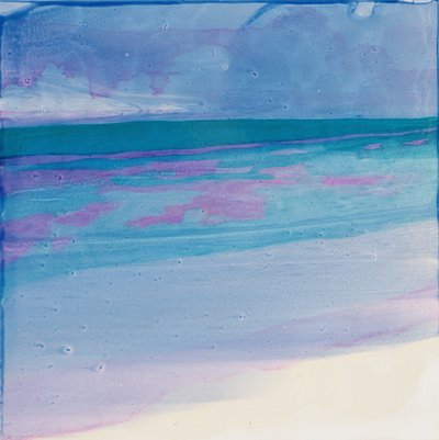 Schildpaddenstrand, 2000 door Charlotte Johnstone