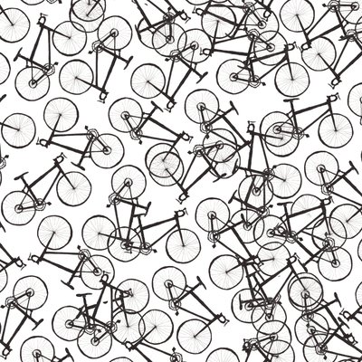 Fietsen door Charlotte Orr