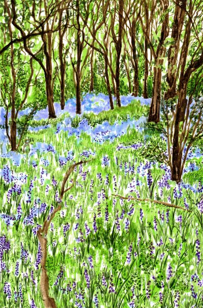 Blauwe bloemen door Charlotte Orr