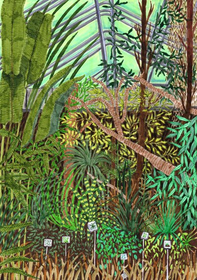 Botanische Tuin, 2017 door Charlotte Orr