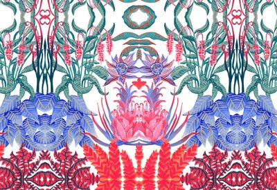Jungle Jim, 2015 door Charlotte Orr