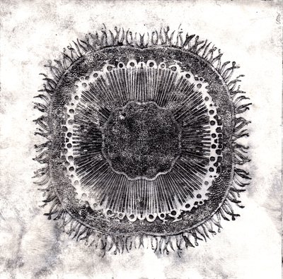 Planten Cellen, 2019 door Charlotte Orr