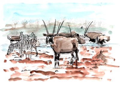 Safari, 2018 door Charlotte Orr