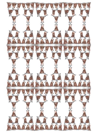 Theeverpakkingsontwerp, 2018 door Charlotte Orr