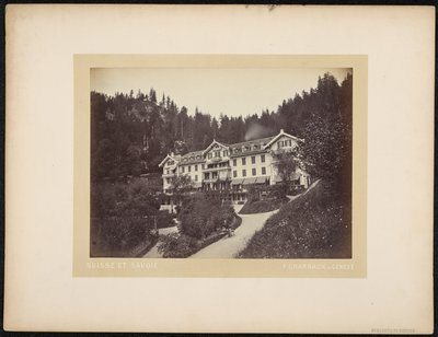 Hotel Du Giessbach door Charnaux Frères and Cie.