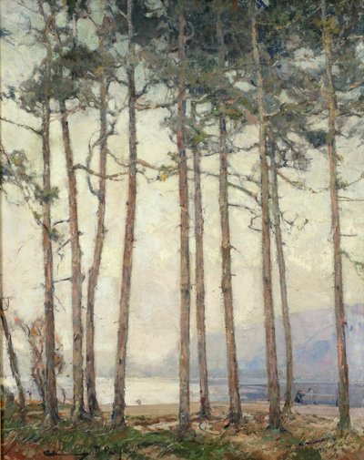 Spookmeer door Chauncey Foster Ryder
