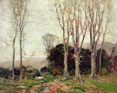 Het pad door de bergen door Chauncey Foster Ryder