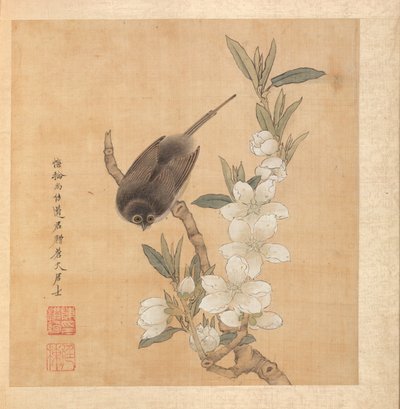 Schilderijen naar Oude Meesters: Een Vogel en Perzikbloesemtak, 1598-1652 door Chen Hongshou