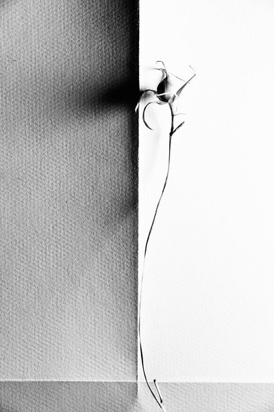  door Chen Hongzhou