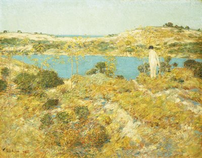 Duinpoel door Childe Frederick Hassam