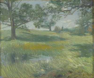 Weiden, c.1900-10 door Childe Frederick Hassam