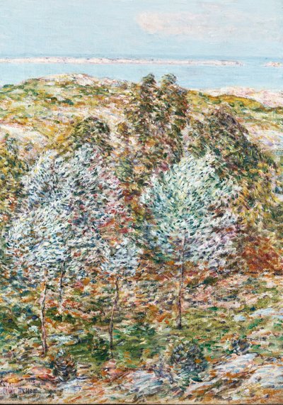 Voorjaarsvisie door Childe Frederick Hassam