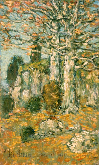 Boomlandschap door Childe Frederick Hassam