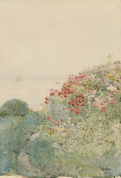 Klaprozenveld, Isles of Shoals door Childe Hassam