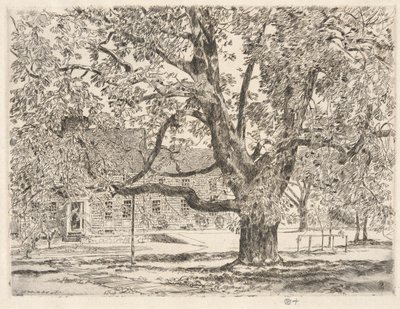 De grote paardenkastanjeboom, Easthampton door Childe Hassam