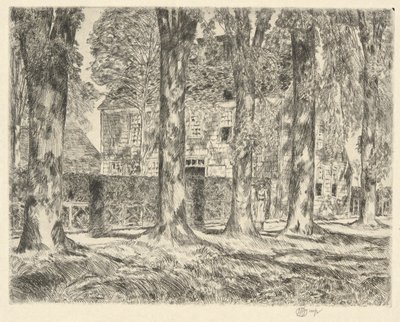 Dorps Elms, 1923 door Childe Hassam