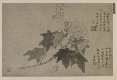 Een tak van houtpioen, mogelijk Qing-dynastie door Chinese School