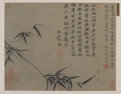 Een bamboespray, mogelijk Qing-dynastie door Chinese School