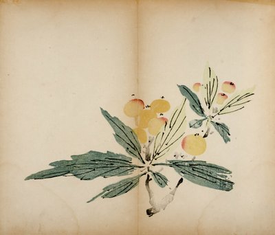 Tien Bamboe Studio Afdrukken, 1643 door Chinese School